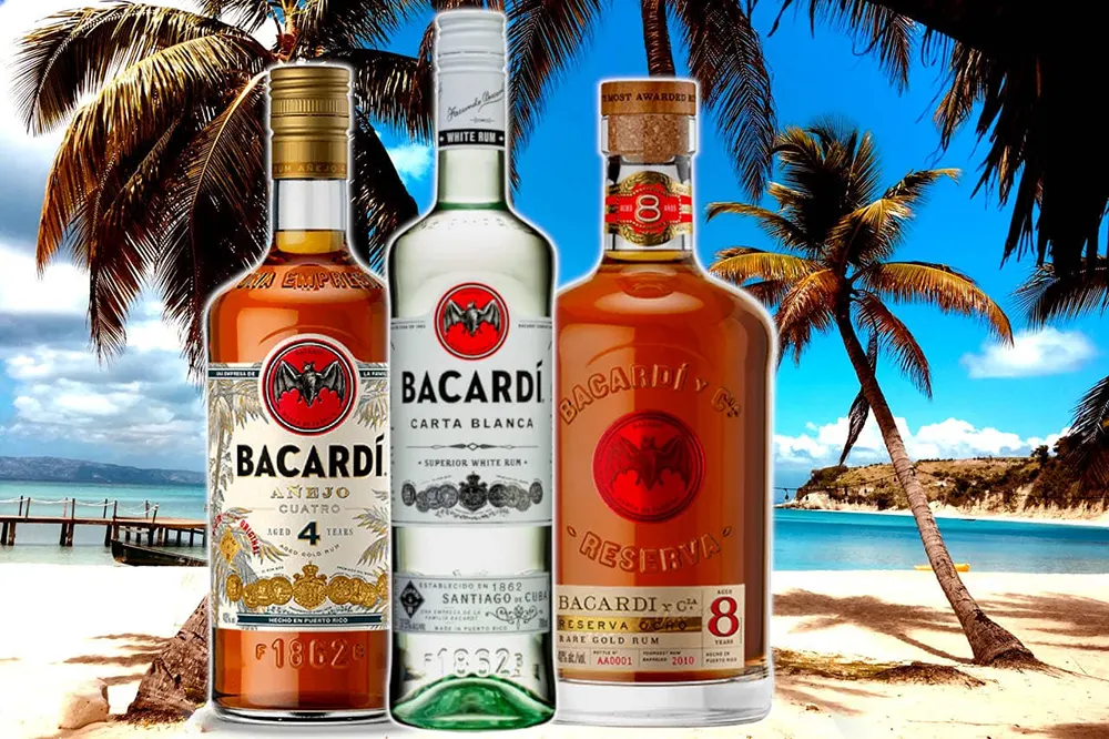    Bacardi